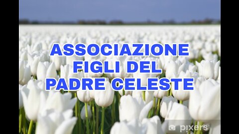 COSTITUZIONE ASSOCIAZIONE FIGLI DEL PADRE CELESTE 07-09-20 ELISEO BONANNO