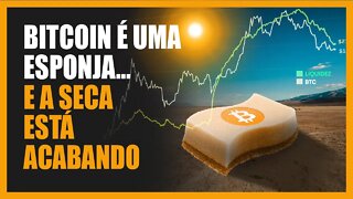 BITCOIN a $100k será barato! O contra-ataque está próximo