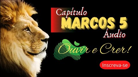 Livro de Marcos Capítulo 05 (Bíblia sagrada). @Ouvir e Crer