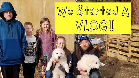 We Started A VLOG!! Picking up our new livestock guardian puppies!