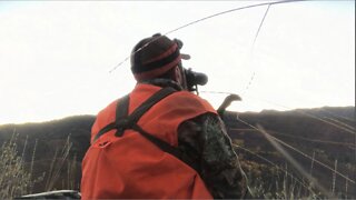 Elk General Rifle Season 2022 - Last Weekend