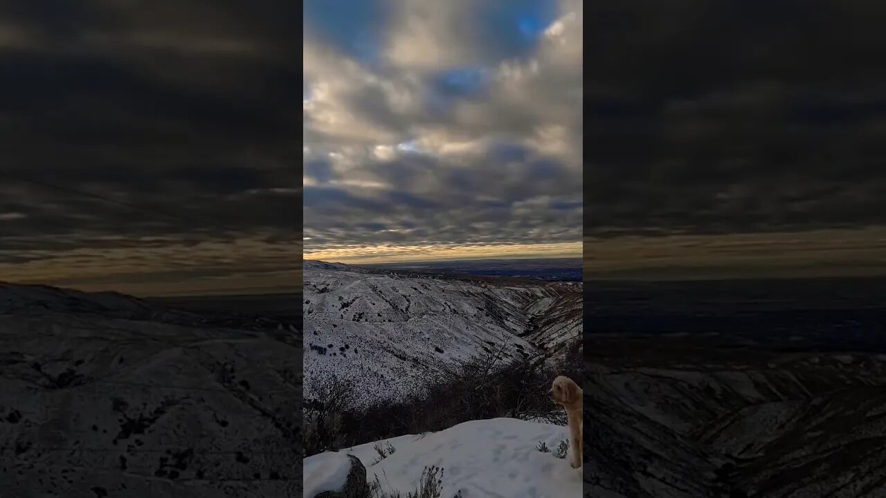 #timelapse #bogusbasin #mountains