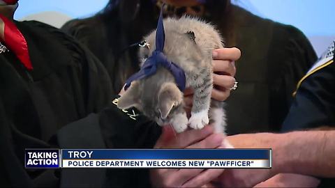 Troy PD swear in new Pawfficer after first kitty falls ill