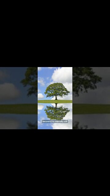 A photograph can convey a powerful message, such as a heart full of empathy. #shorts