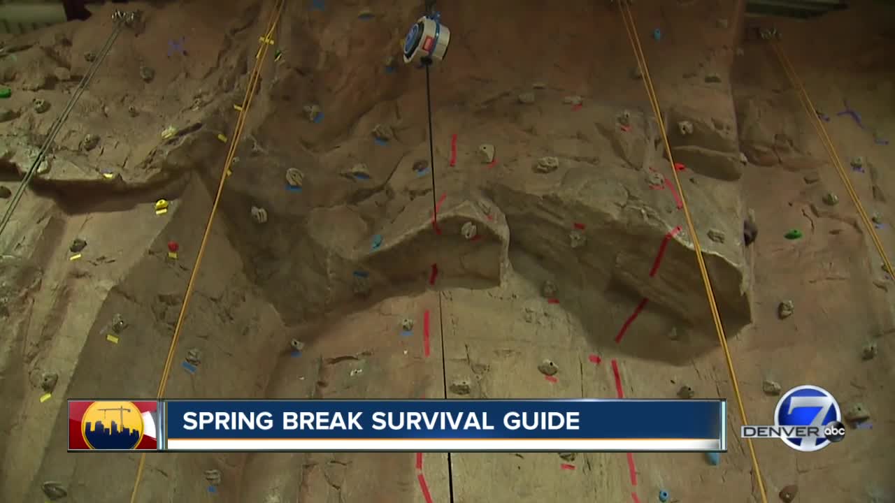 Denver7's Spring Break Survival Guide