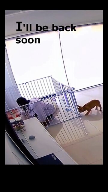 Me prenda se for capaz