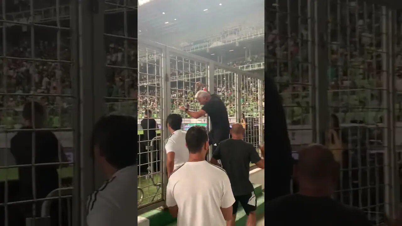 Éder Aleixo subindo no alambrado para comemorar o gol de Hulk nos minutos finais