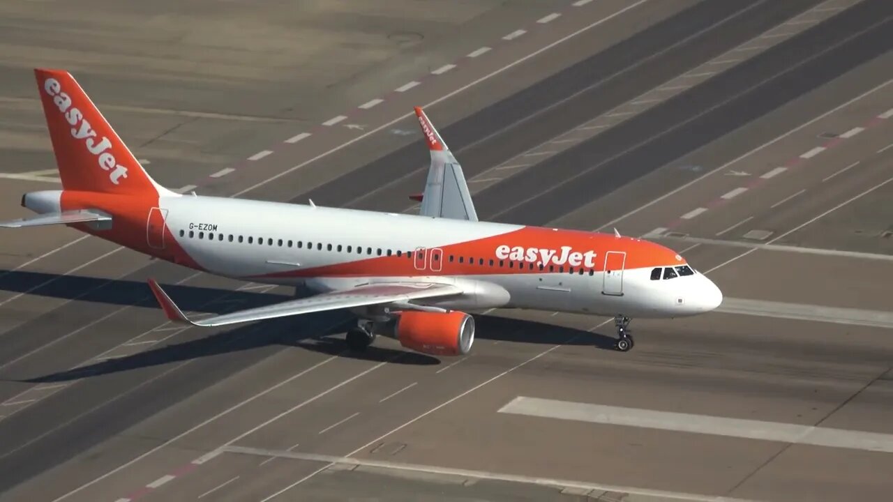 Monkey at Gibraltar Seems to be Watching Planes Landing EXTENDED Plane Vs.