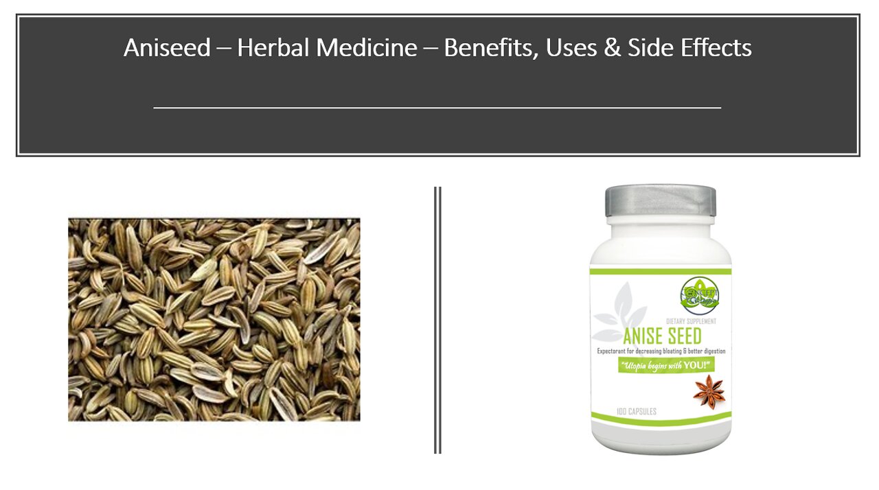 Aniseed & Star Anise - Herbal Medicine Benefits