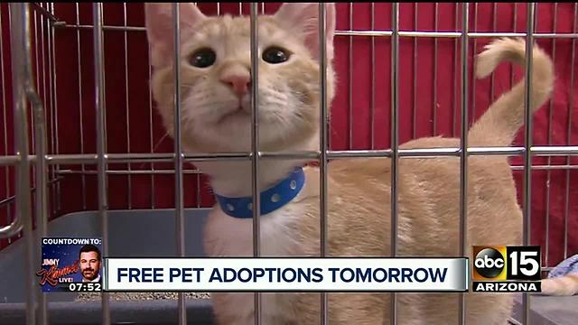 Free pet adoptions: MCACC hosts 'Empty the Shelter' event on Saturday