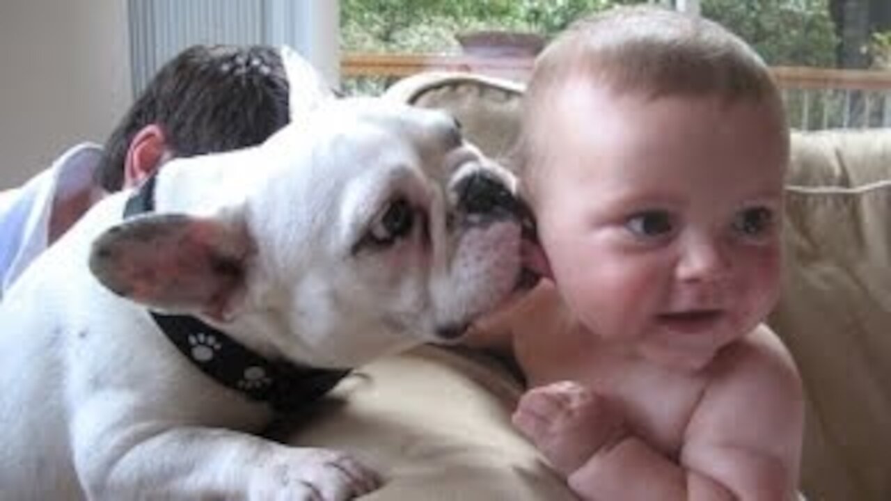 😆Funny Babies and Animals Video THE BEST Adorable Baby and Animals Compilation