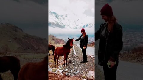 horse in the road #bgm #copyrightfree #krol #krolvlogs #krolvideos #trending #youtube #skorpea