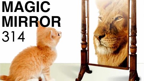 Magic Mirror 314 - Pathological Liars