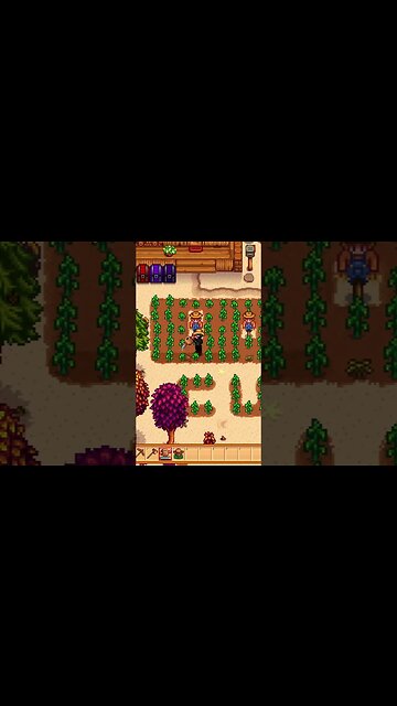 Why Vegan's Suck #stardewvalley #short