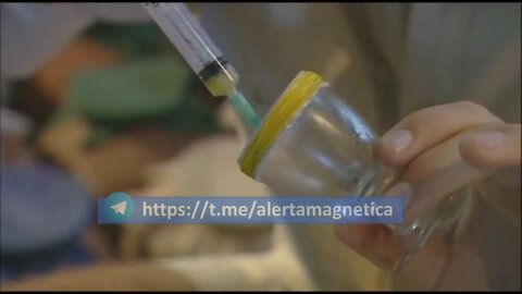 CUANDO EL VENENO DE SERPIENTE ENTRA EN CONTACTO CON LA SANGRE HUMANA.