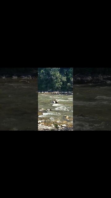 Dolores River, Dolores, CO💙