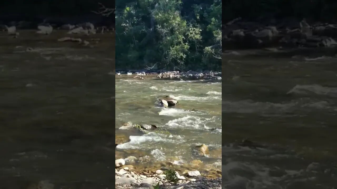 Dolores River, Dolores, CO💙