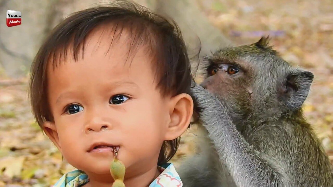 Monkey Become Mother of Human Child