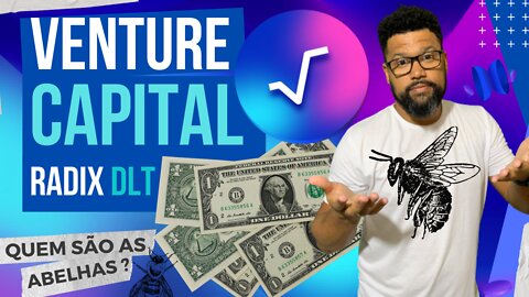 VENTURE CAPITAL RADIX DLT - Quem são as abelhas?