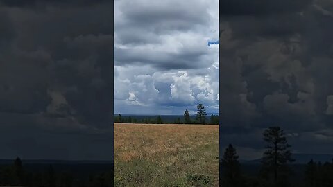 Flagstaff, Arizona | Buffalo Park