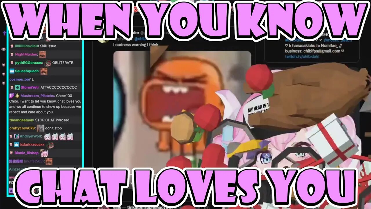 Chat Throws Objects at @chibidoki for 3 Minutes Straight