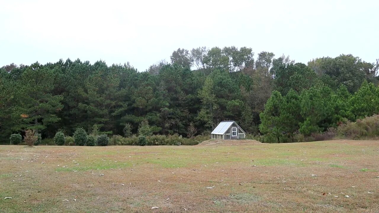Nature 6