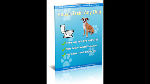 Pet your dogs and House train it.