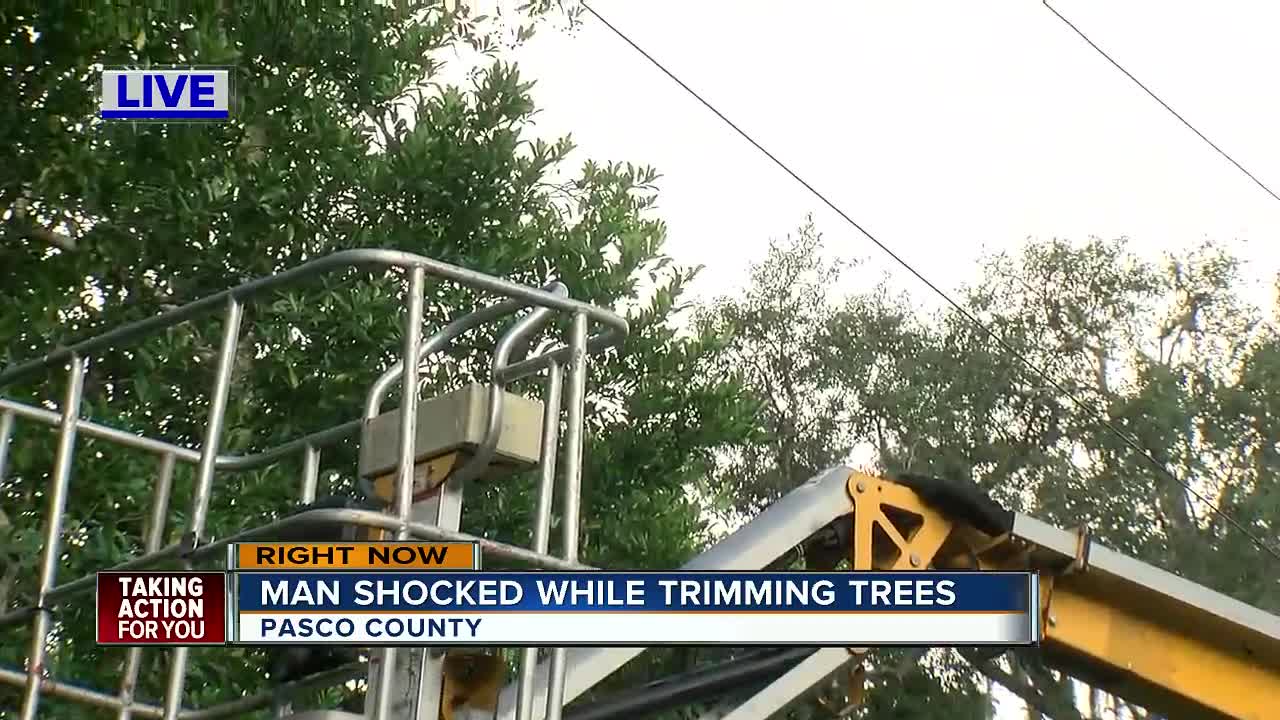 Man shocked while trimming trees