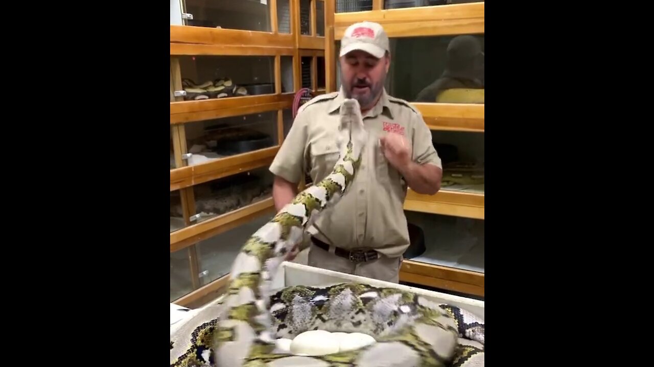 snake wanting a closer kiss