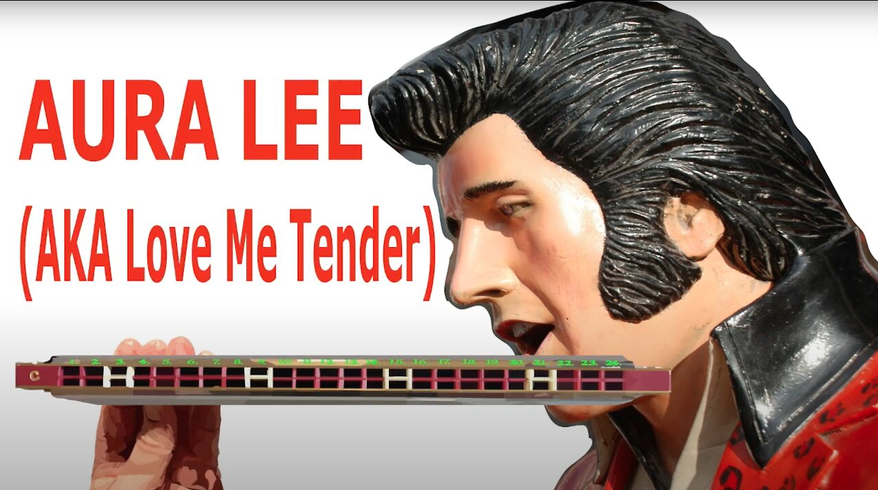 How to Play Aura Lee on a Tremolo Harmonica with 24 Holes