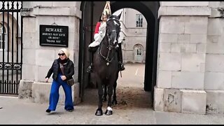 Revenge of the tourist she makes the kings guard and horse jump #horseguardsparade