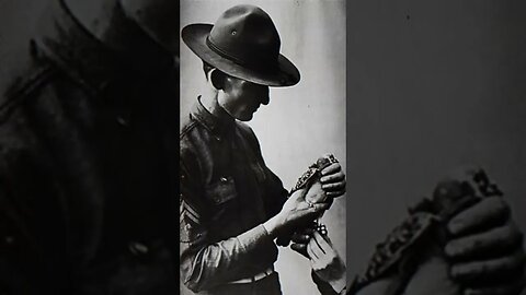 The Pigeon That Saved The Lost Battalion