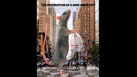 NYC HAS FALLEN AND IF YOU VOTE DEMOCRAT THIS IS COMING TO YOU. SICK