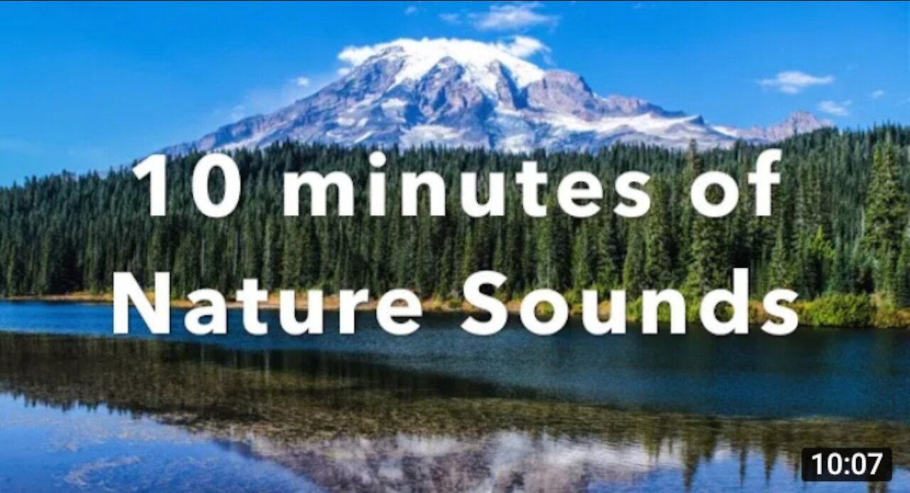 Morning Meditation - Relaxing Nature Sounds for 10 minuts