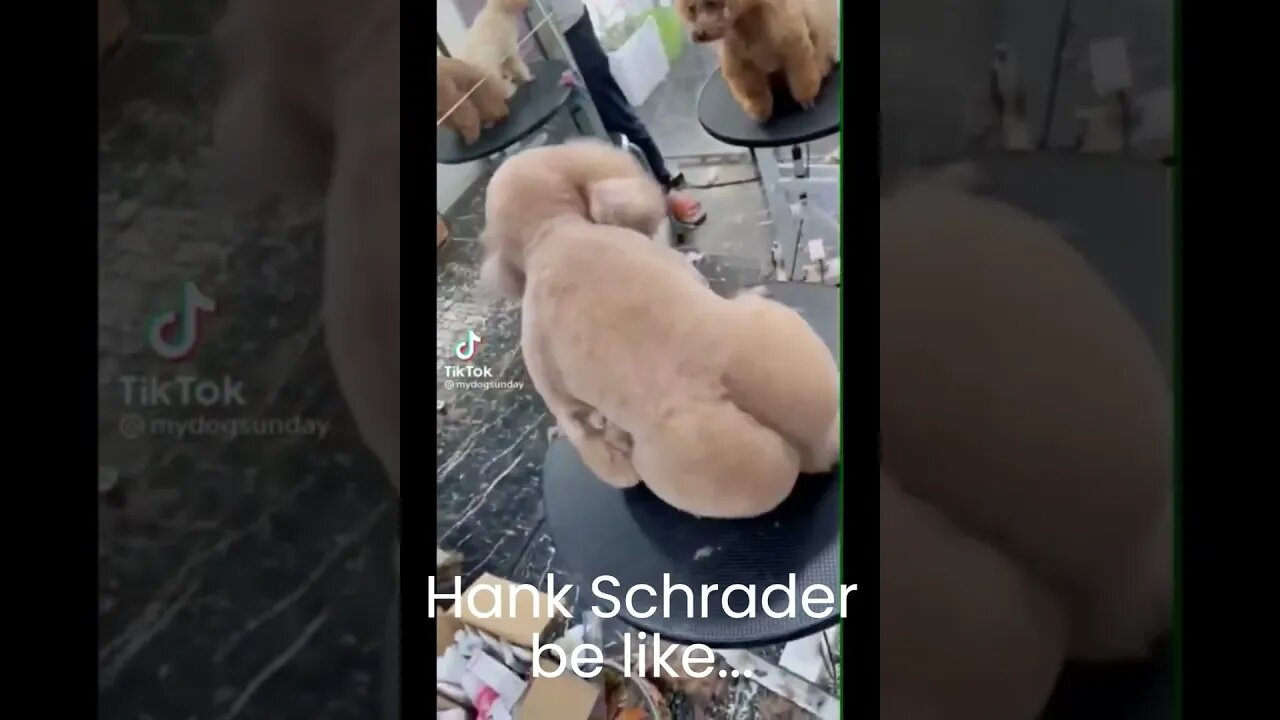 Hank Schrader be like...