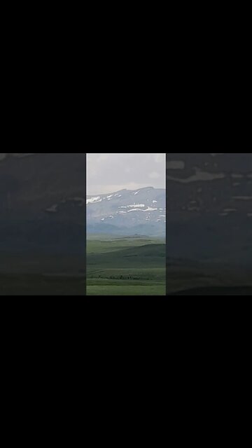 Spring Flowers 5 14 23