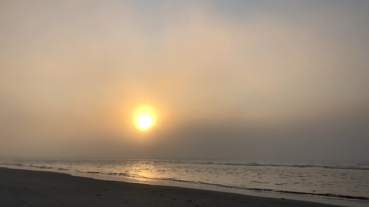 Foggy morning beach walk