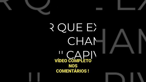 POR QUE EXISTE UMA CAPIVARA NO KAKELE ? #rpg #mmorpg #capivara