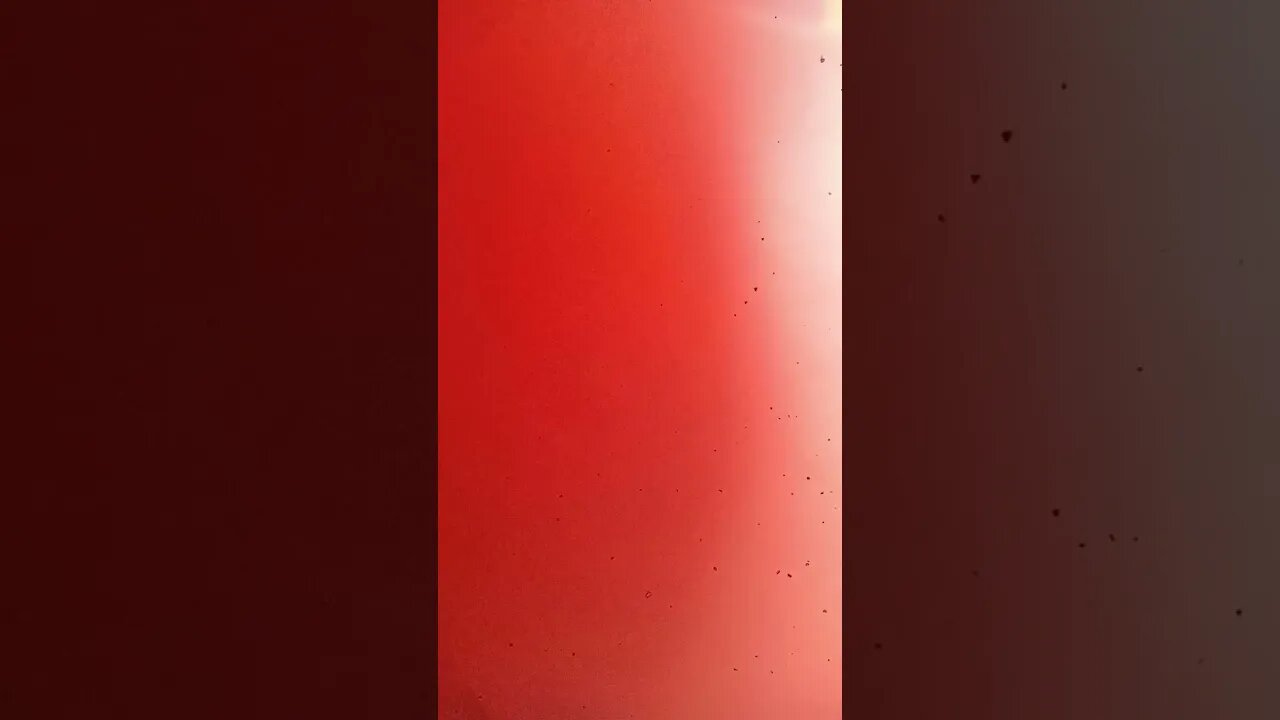 17 de setembro de 2023
