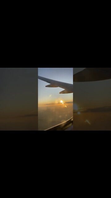 Flight Simulator, Será que é o novo?