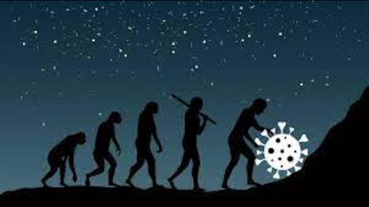 Evolution of the Corona Virus (Covid -19)