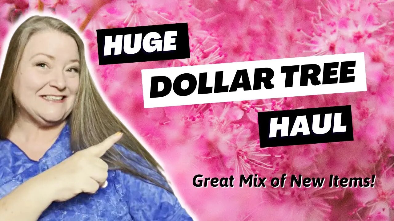 Huge Dollar Tree Haul ~ Great Mix of New Items Hitting Stores NOW! New Spring Items All items $1.25