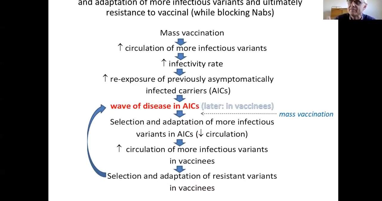 Geert Vanden Bossche Explains Innate Immunity and Herd Immunity - Using Vaccines During Pandemics