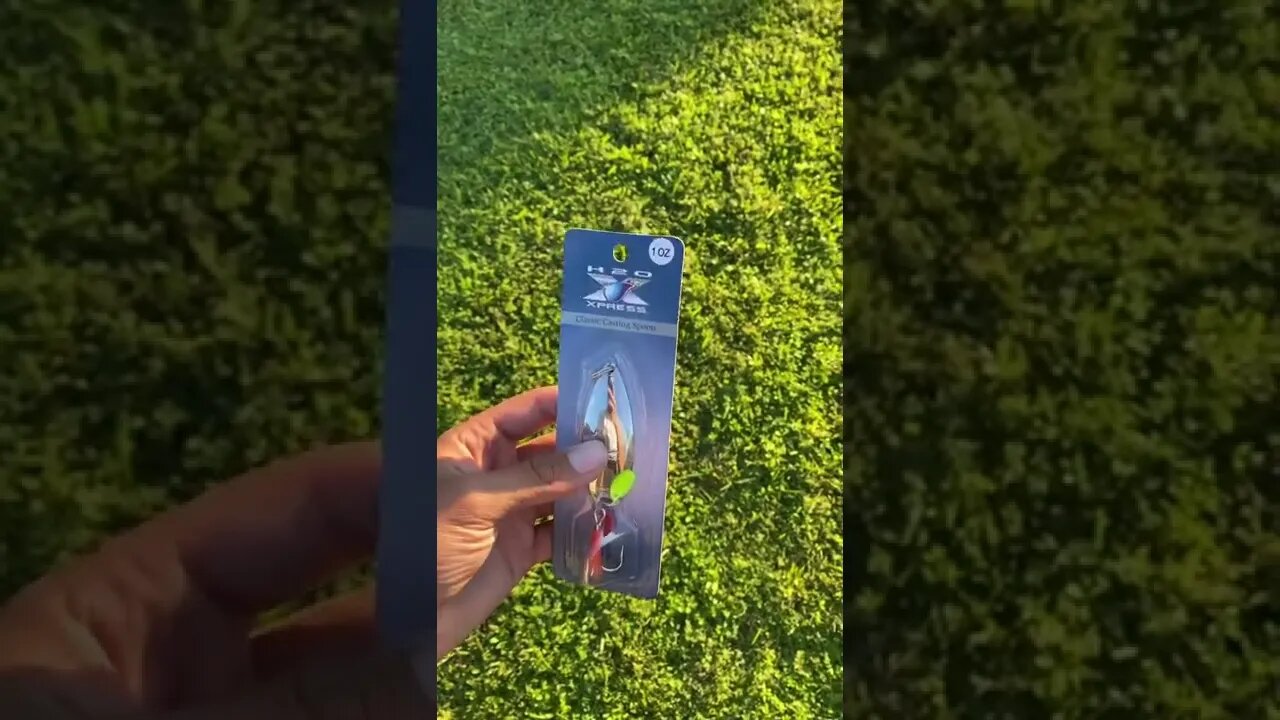 Will this CASTING SPOON catch BASS?