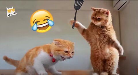 Top 10 Funniest Animals Videos' 2023