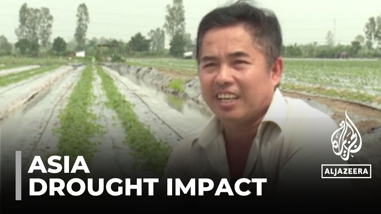 Rice harvest likely reduced across Asia: El Nino weather phenomenon blamed for drought