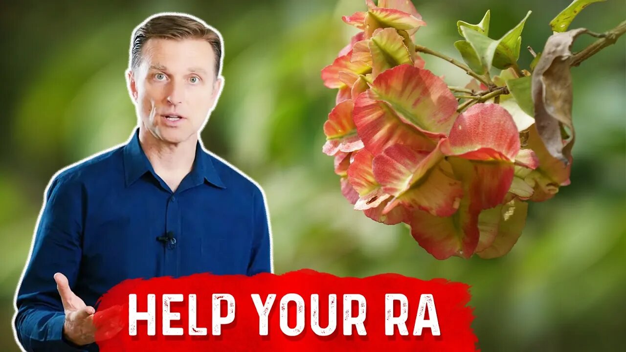 Help Rheumatoid Arthritis with Thunder God Vine – Arthritis Remedies – Dr.Berg