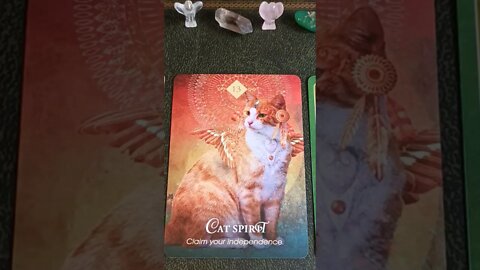 Saturday 17th September 2022 #lovetarot #boundaries #cardoftheday