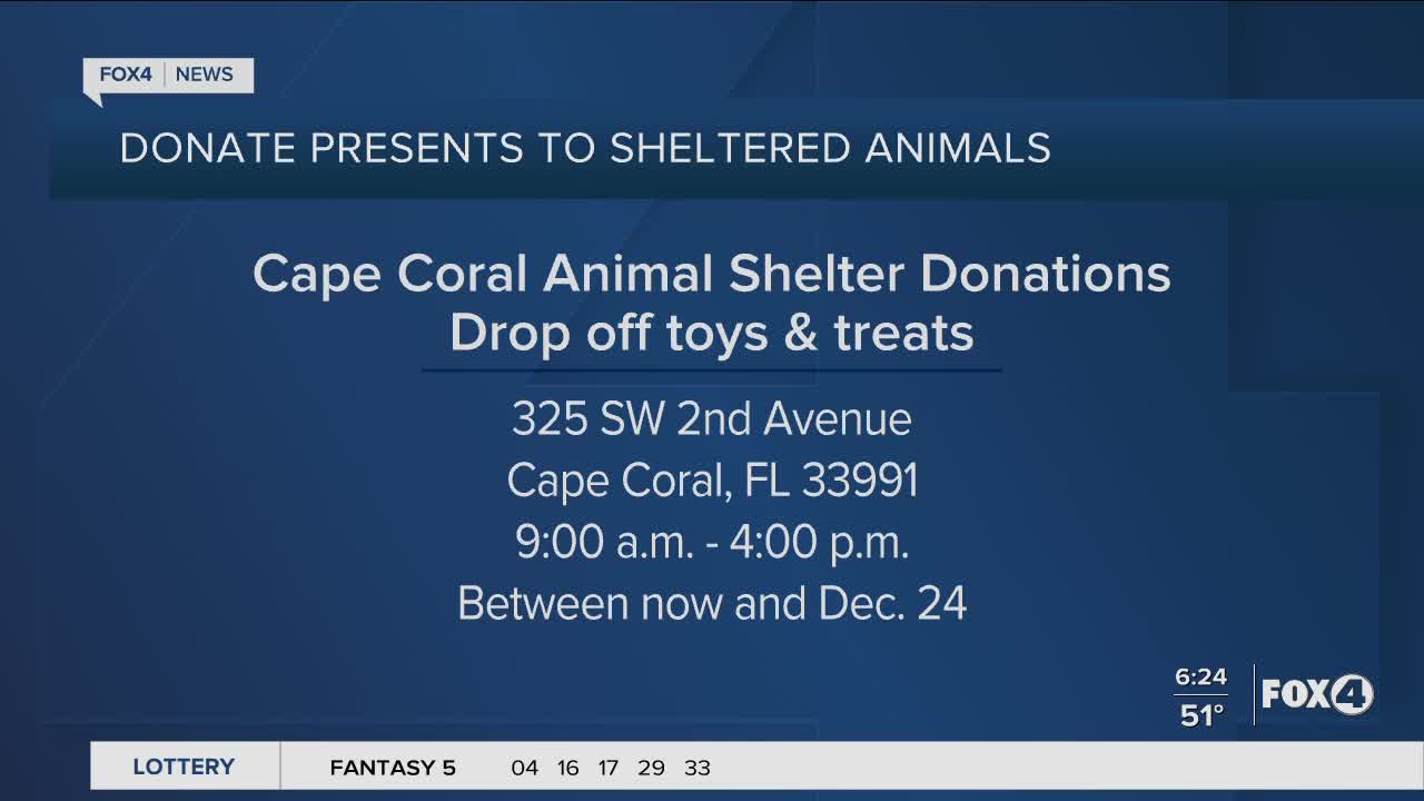 Cape Coral animal shelter to give out gifts to sheltered animals