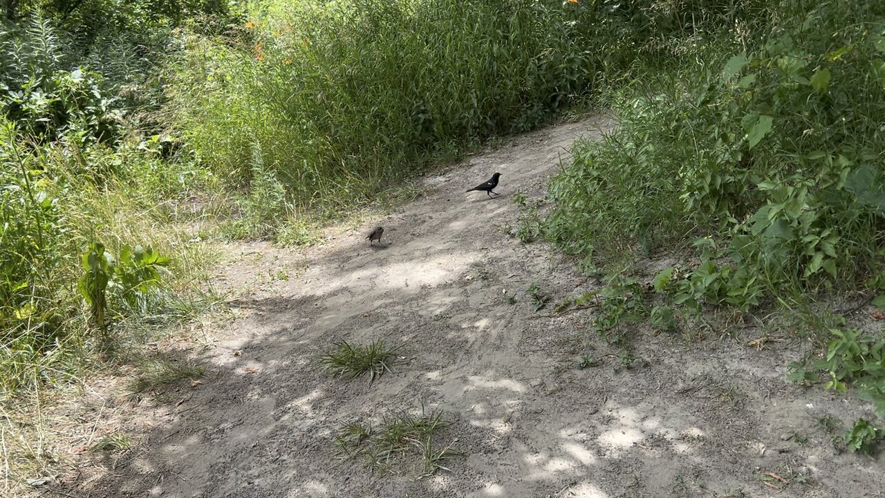 The big piece is mine! Stay away! 🤣